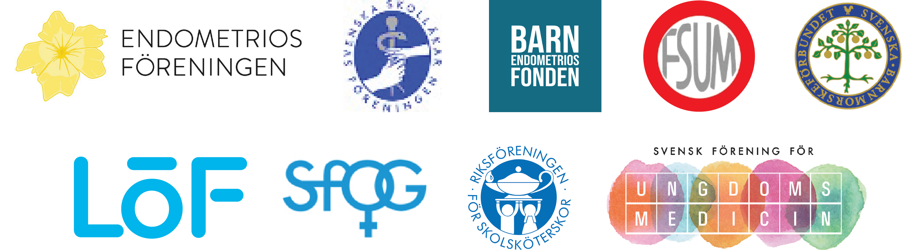 Logotyper för de organisationer som medverkat i projektet. Endometriosförening, svenska skolläkar föreningen, barnendometriosfonden, svenska barnmorskeförbundet, regionernas ömsesidiga försäkringsbolag, Svensk förening för Obstetrik och Gynekologi, Riksföreningen för skolsköterskor och svenska föreningen för ungdomsmedicin